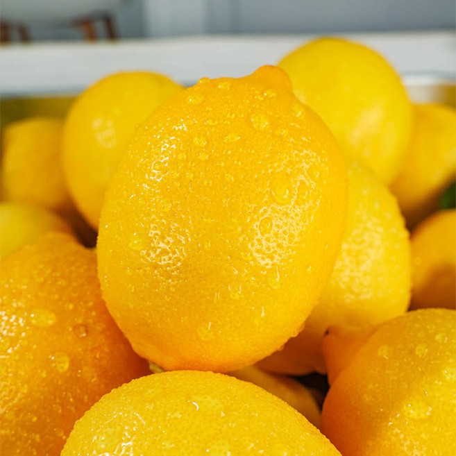 프리미엄 미국산 최상급 팬시레몬, 1박스, 중과 10과 (1kg 내외)