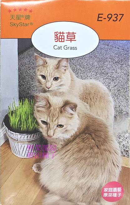 天星牌 貓草種子 E-937 Triticum sativum, 1包