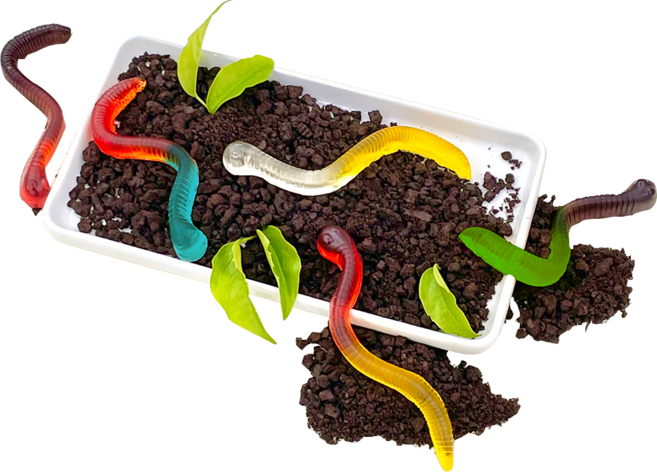 노오븐 지렁이 젤리 DIY 홈베이킹, 지렁이 DIY 키트, 1개