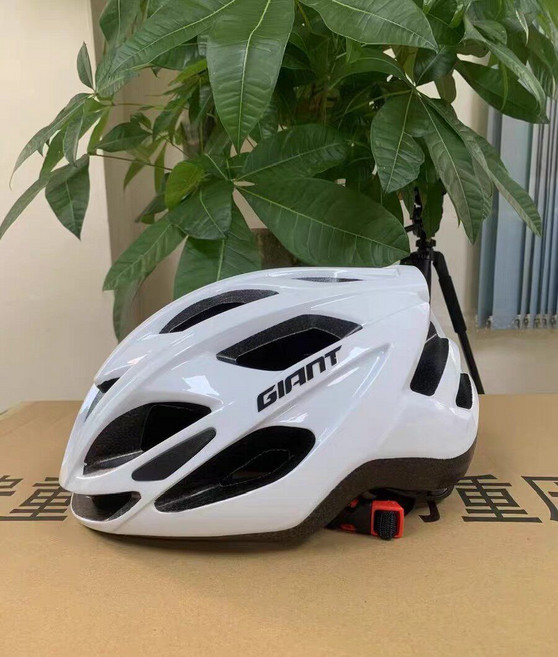 GIANT 自行車頭盔 一體成型 公路車山地車適用, 1個