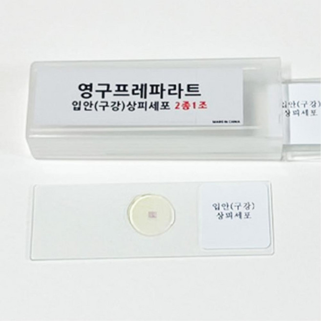 학교 현미경관찰 입안 상피세포 프레파라트 세표표본 오래쓰는