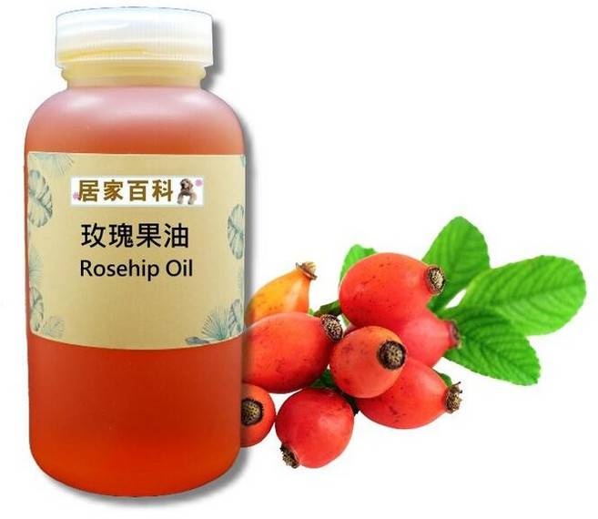 居家百科 玫瑰果油, 1個, 100ml