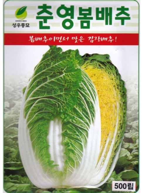 영농사 춘영 봄 배추 씨앗 500립 봄배추씨, 춘영봄배추씨앗, 1개