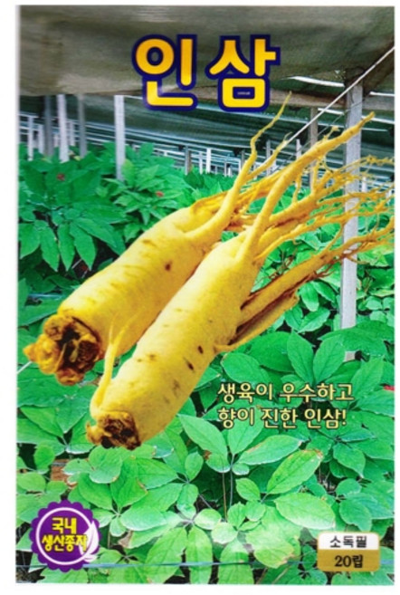 영농사 인삼 씨앗 20립 인삼씨, 4개