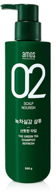 아모스 녹차실감 지성두피 프레쉬 샴푸, 500g, 1개