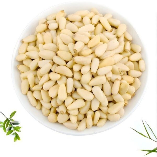 생잣 백두산 중국 야생잣 햇잣 중국 산, 1개, 500g