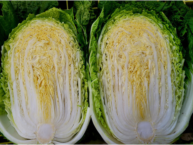 [재구매 1위] 국내산 강원도 고랭지 절임배추 국산 절인배추, 도착일 지정, 1개, 20kg