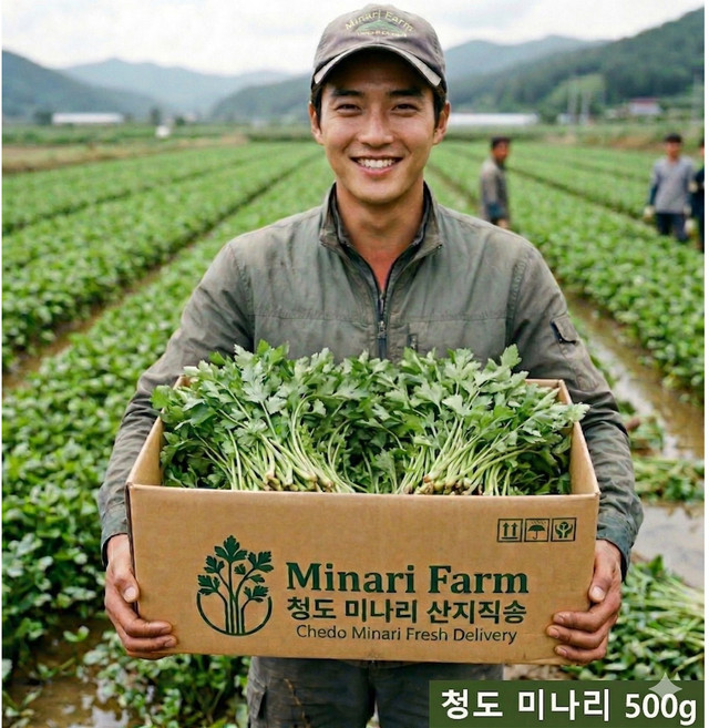[미나리 마을] 산지 직송 국내산 청도미나리, 1박스, 390g