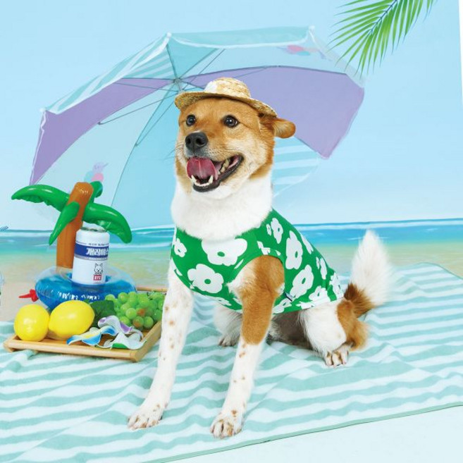 [강아지의날] BYC 개리야스 보디드라이 썸머 쿨런닝 ODB0006, LD(라벤더)