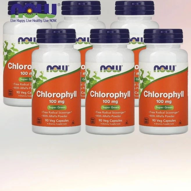 NOW Foods 나우 푸드 엽록소 100mg 베지 캡슐 90정 Chlorophyll 6통 - 쿠팡