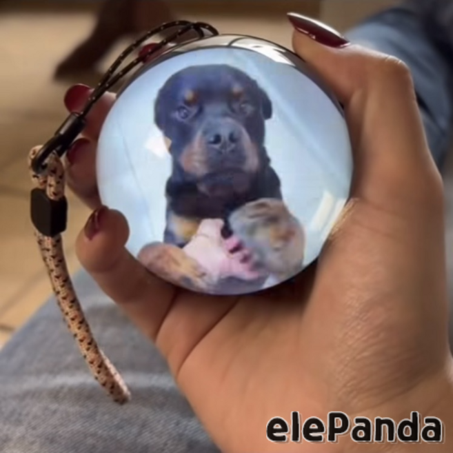 소울메모리볼 크리스탈공비디오 추억보관, 블랙