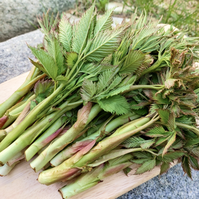 파머스곳간 산지직송 자연산 눈개승마 강원도 삼나물 고기나물, (생)눈개승마 1kg, 1kg, 1개