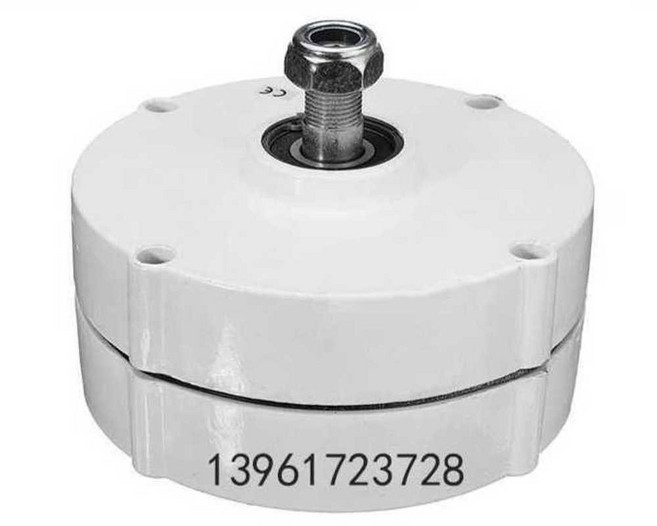 풍력발전 모터 자가 영구자가발전 220V 12V/750회전 원축 무음 소형, 커스텀 전압 아웃풋, 1개