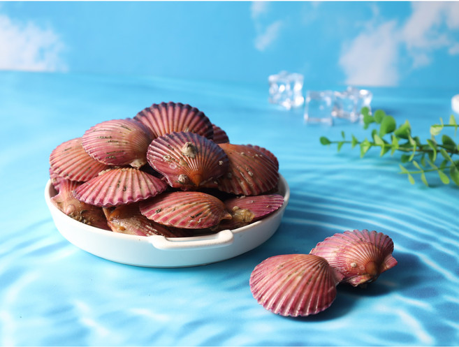 [바다쏙레시피] 산지직송 국내산 생물 달콤하고 쫄깃한 생물 홍가리비, 1개, 2kg