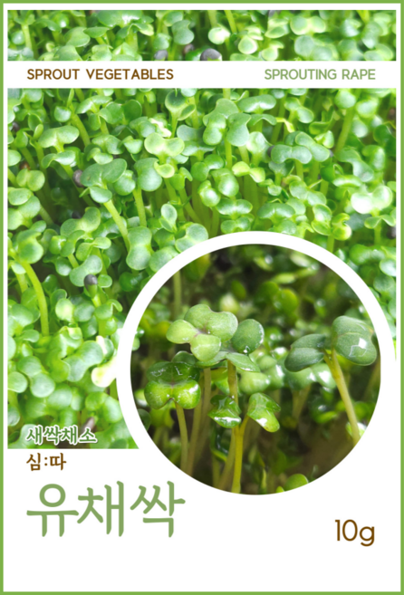 새싹채소씨앗 모음, 12. 새싹 유채 씨앗 10g, 1개