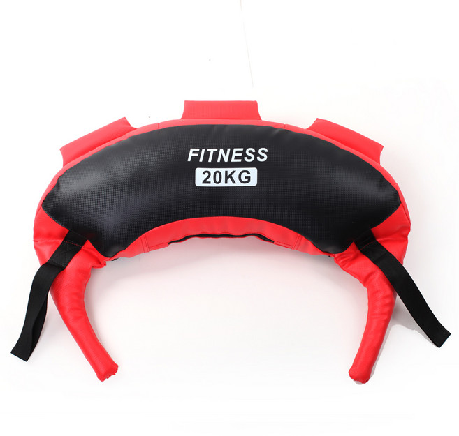 정수생활건강 불가리안백 신형 지퍼식 파워백 홈트레이닝 5~20 kg, 20kg