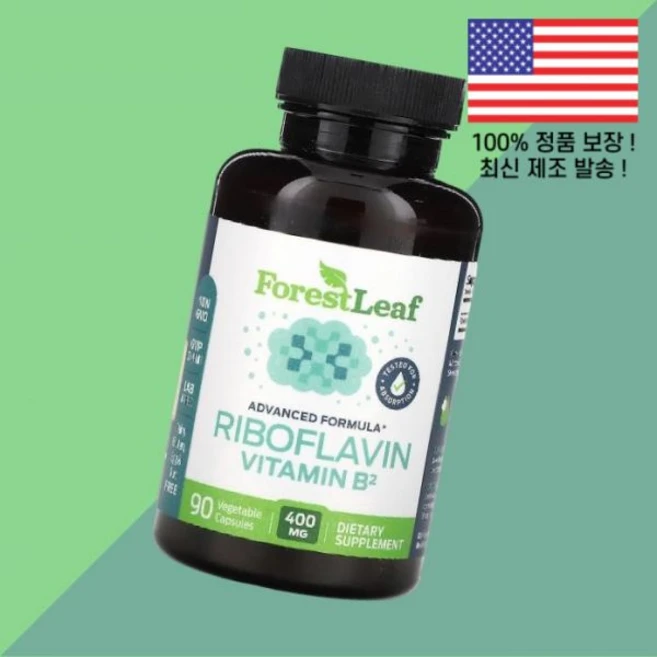 포레스트 리프 리보플라빈 비타민B2 비타민비2 비타민B군 400mg 식물성 베지캡슐 90정 Forest Leaf Riboflavin Vitamin B2 90 Vegetable, 포레스트 리프 리보플라빈 비타민B2 비타민비2 비타민B, 1개 - 쿠팡