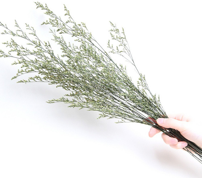 화연양화 프리저브드플라워 미스티블루 6가지색 드라이플라워 시들지않는생화, 01 그린