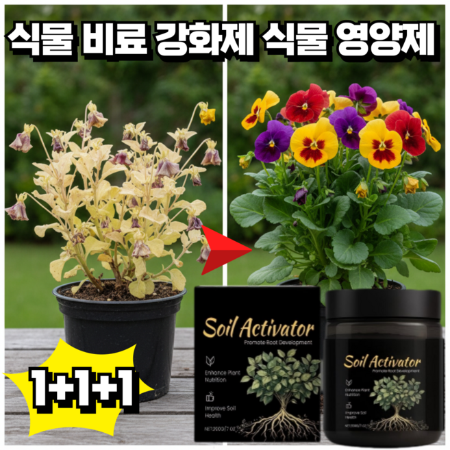 식물 비료 강화제 식물 영양제 마그네슘 망간 붕소 철분 등 미네랄 보충 복합비료, 3개, 200g