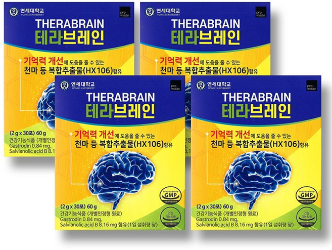 연세대 테라브레인, 60g, 4개