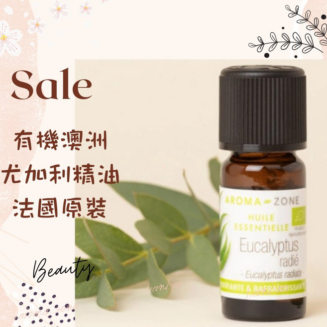 AROMA-ZONE 尤加利精油, 1個, 效期2029/01, 30ml