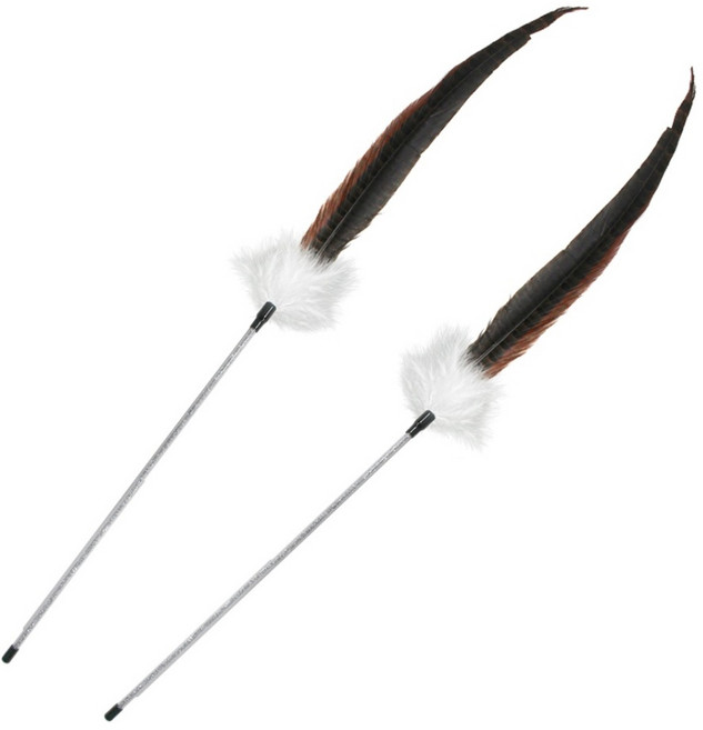 펫츠몬 프리미엄 롱스냅 깃털 낚시대 고양이 장난감, 혼합색상, 2개