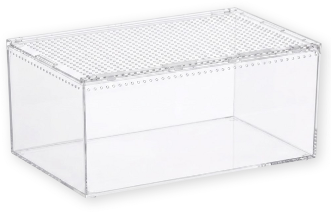 도마뱀 사육장 크레스티드 게코 도마뱀키우기 꾸미기 중형 대형, 1개, 사이즈 / 대