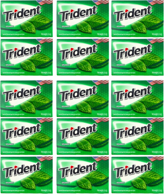 트라이던트 무설탕 자일리톨 껌 스피어민트 (Spearmint), 15개