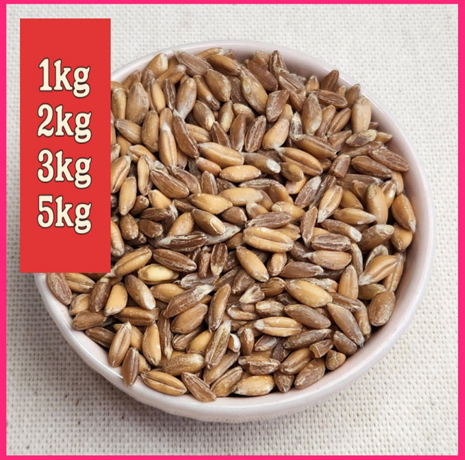 이탈리아산 고소하고 쫄깃한 파로 farro 2025년 1키로 2키로 3키로 5키로 건강한 우리 가족의 식단 관리, 1개, 1kg