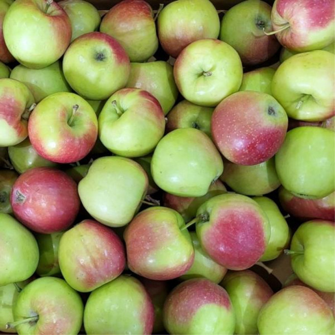 미니사과 루비에스 알프스오토메 꼬마사과 소과 4kg