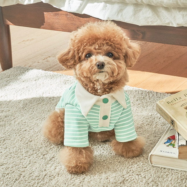 베일리 강아지옷 애견의류 향균 해충방지 로이 카라티, 민트멜론, 1개