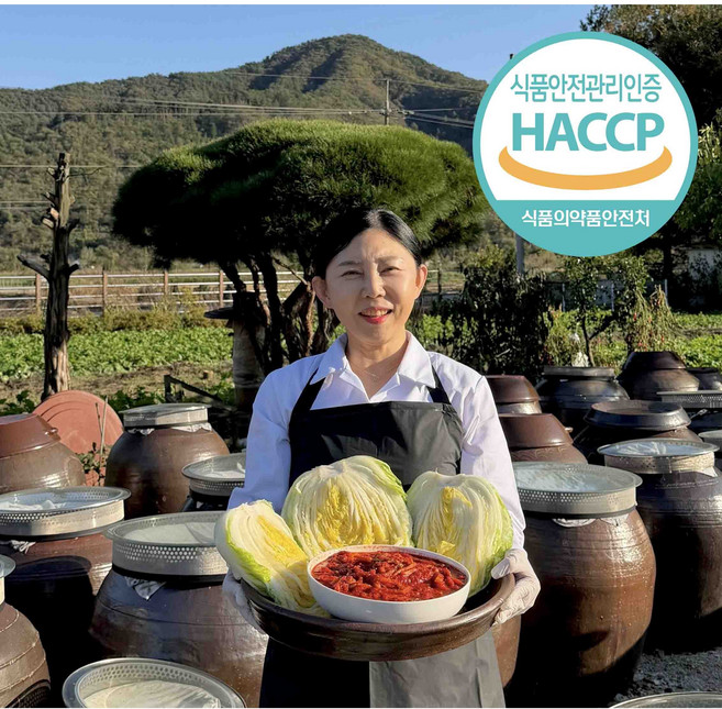 [김장 세트] 강원도 아지매 절임배추 14kg + 양념 6kg, 1박스, 20kg