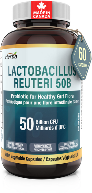 락토바실러스 루테리 500억 유산균 프리바이오틱스 포함 허바 캐나다, 1개, 60정
