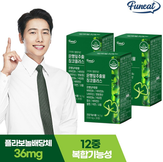 퍼니트 기억력 혈행개선 은행잎추출물 징코플러스 3박스 3개월분, 30정