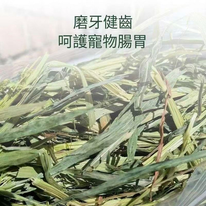 高品質嫩葉牧草 提摩西一割 甜燕麥 燕麥草 苜蓿 小寵專用優質草, 1個, 提摩西一割-過篩1公斤