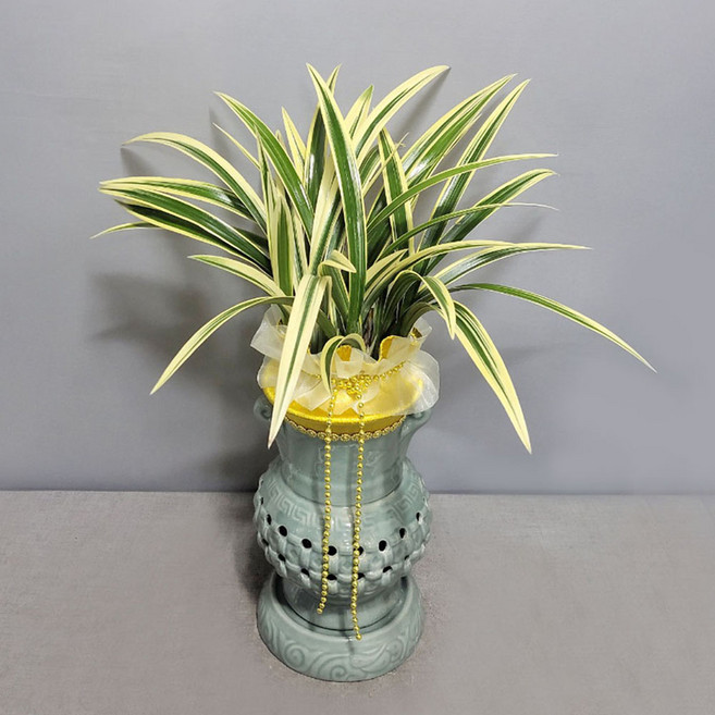 꽃썸플라워 동양란 [전국당일배송] 승진 영전 개업 축하난 황금일향(청자투각분), 1개