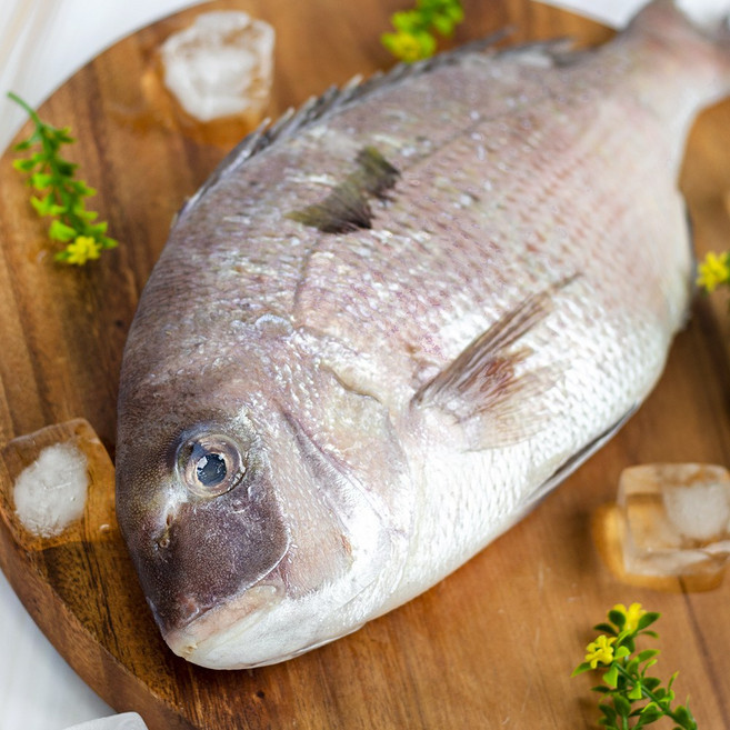 바다받아 참돔 도미 돔 제수용생선, 1박스, 5.5kg 7마리