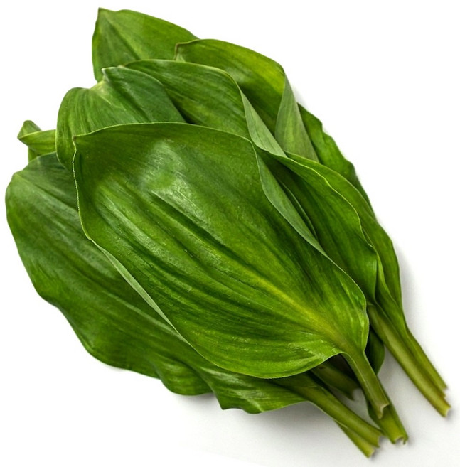 연하고 부드러운 울릉도 산마늘 명이나물 생채, 300g, 1개