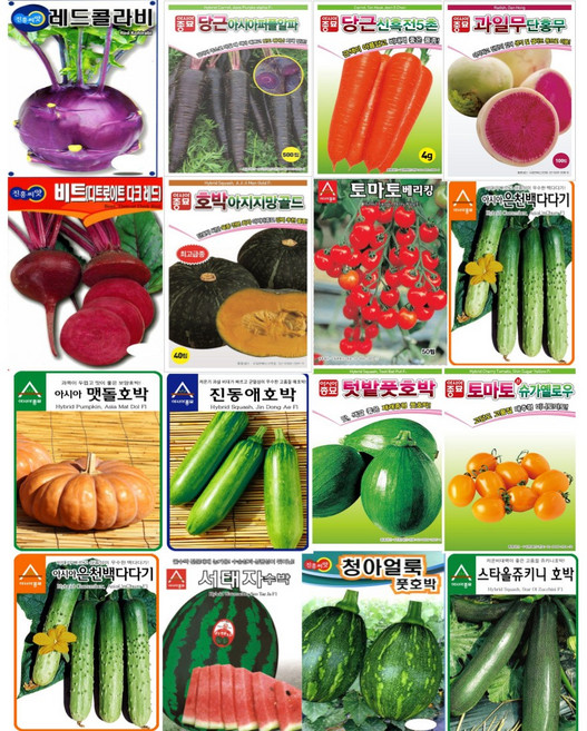 채소씨앗 호박 당근 수박 가지 참외 토마토 비트 오이 아스파라거스 콜라비 단호박 종자 모음세트, 36.강화순무 2000립, 1개