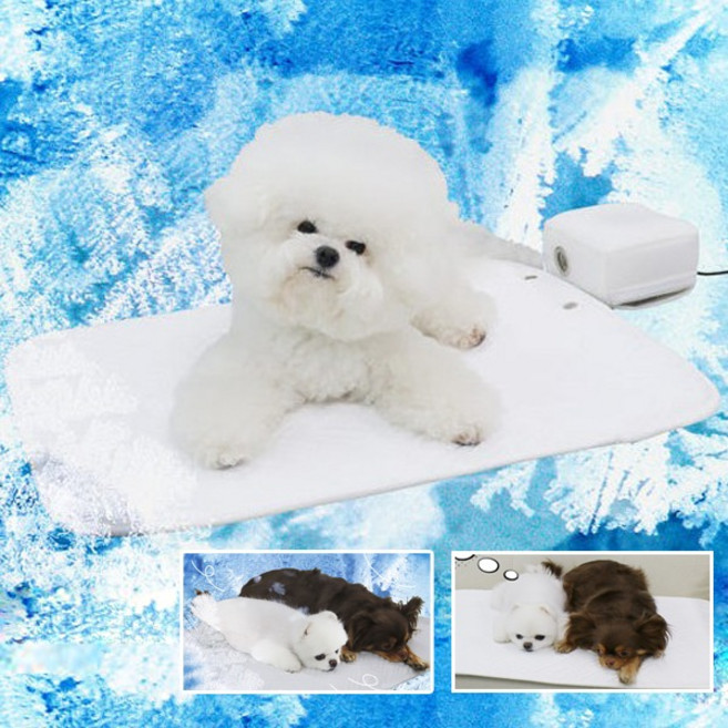 초코펫하우스 강아지 아이스 쿨매트 방석 듀라론 강아지매트(에어쿨러포함) 택1, 1개