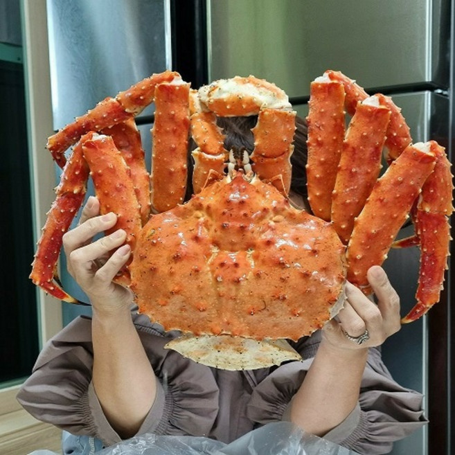 10위 - 최상급 러시아 프리미엄 레드킹크랩(살수율 90% 이상), 1개, 2.6kg