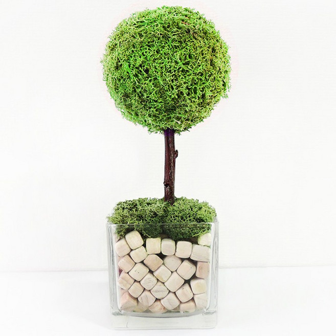 편백모스트리 순록이끼나무 핸드메이드 스칸디아모스, 스프링그린, 1개