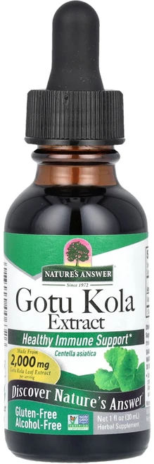 Nature's Answer 고투콜라 추출물 알코올 무함유 2000mg 30ml(1fl oz), NaturesAnswer은행나무잎액상추출물알코올무함유2, 1개, 30ml - 쿠팡