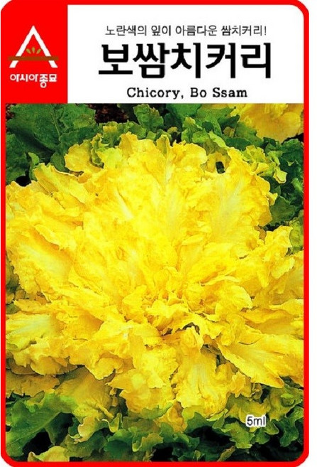 주주씨앗 채소 씨앗 모음 / 상추 쌈채소 유럽상추 치커리 다채 시금치 등, 1개