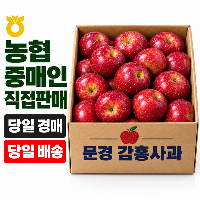 [사과축제1위] 어스담 고당도 문경 감홍사과, 1박스, 5kg (가정용)