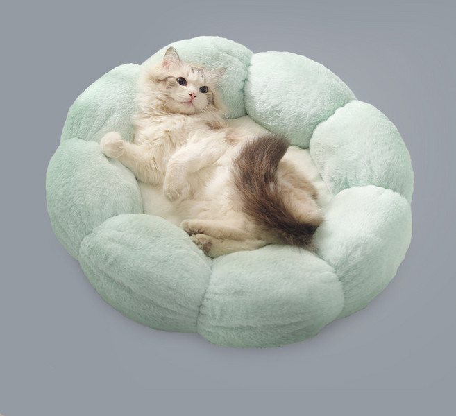 2도사이 플라워 극세사 꾹꾹이방석 고양이마약방석, 살구, 1개