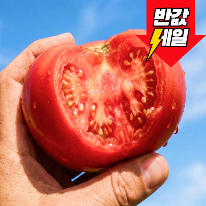 [반값할인] 딱100명만 천상의맛 특품 완숙토마토, 1개, 10kg