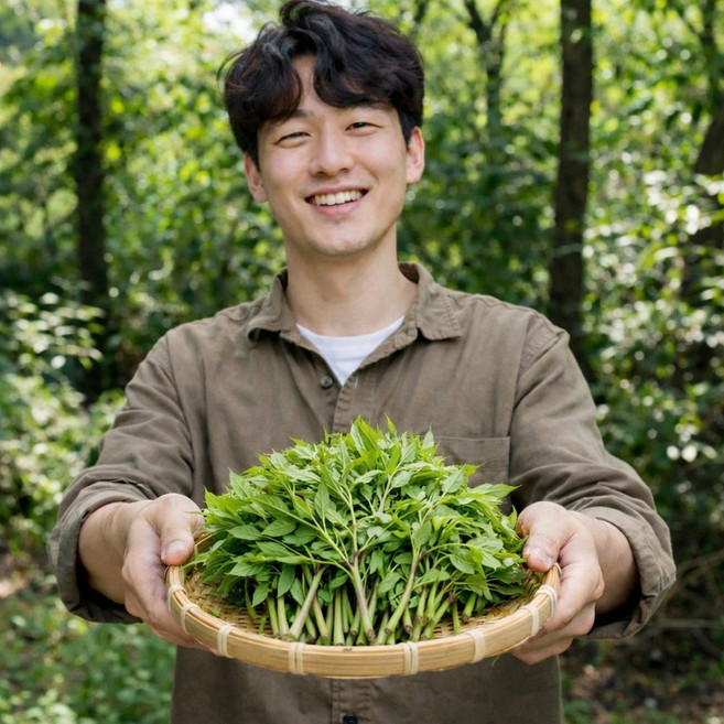 향긋한 국산 오가피순 생오가피순 나물 가시오가피순 제철 봄나물 가시오갈피순, 1개, 200g