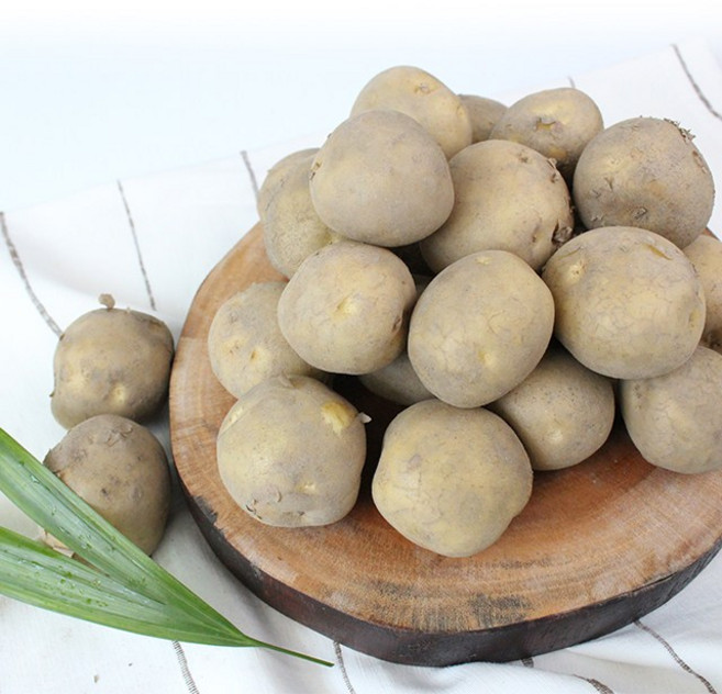 [팔도농장] 26년 수확 식자재용 햇 수미감자(중) 20kg, 단품, 1개