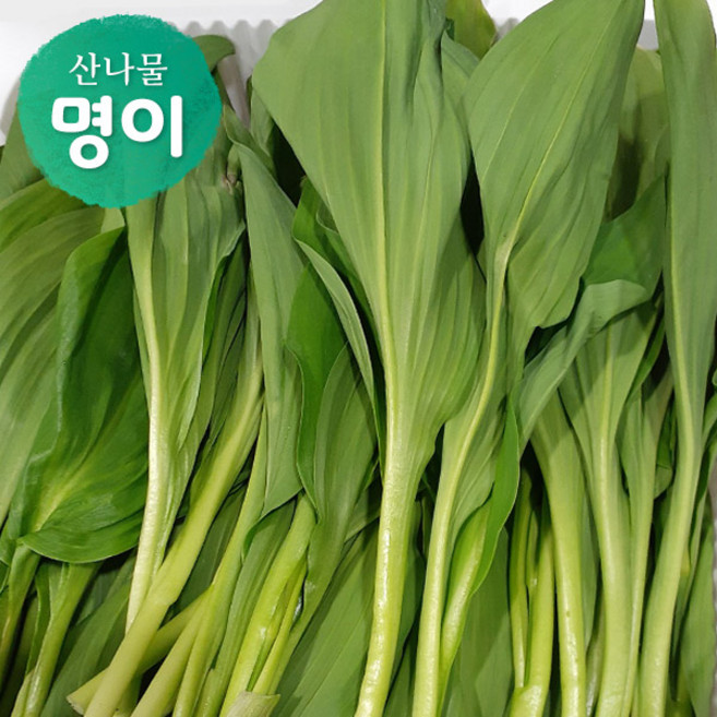 강원도 고랭지 산 명이나물 산마늘(대명이) 500g 1kg, 1박스